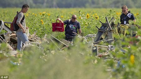 Bí ẩn buồng lái MH17 bị cưa đôi ảnh 3