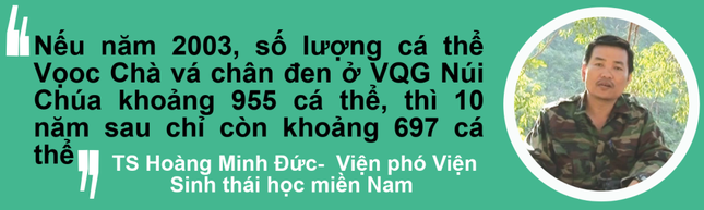 Hành trình vây bắt kẻ 'thảm sát' voọc nấu cao ảnh 2