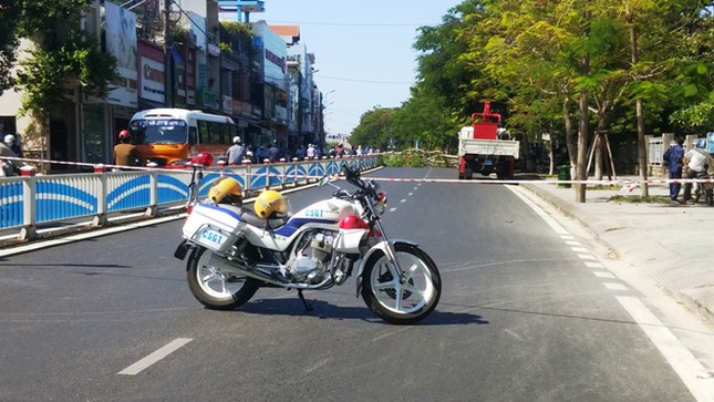 Phượng vĩ đổ ngang đường, hai người thoát chết trong gang tấc ảnh 4