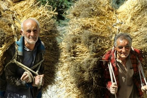 Bí ẩn bộ tộc khỏe thọ hạnh phúc nhất thế giới ảnh 3