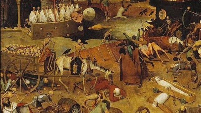 1001 thắc mắc: Loài chuột nào dài nhất thế giới? ảnh 2