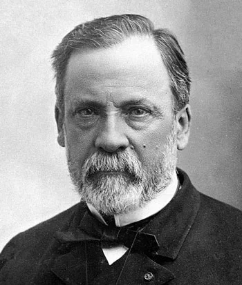 Vắcxin của Pasteur được sử dụng đầu tiên cho một cậu bé bị loài vật nào cắn?