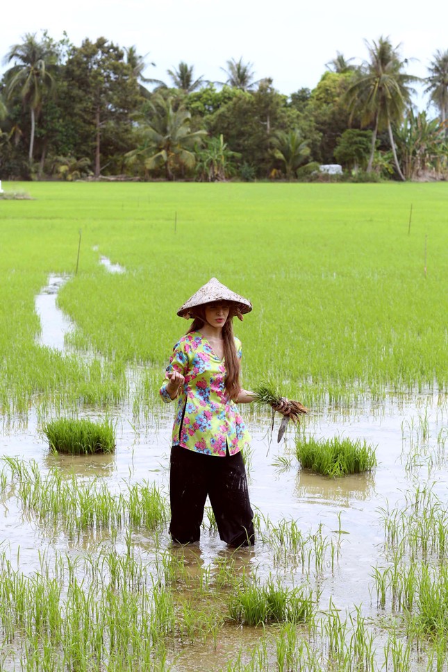 An 'Tây' làm gái quê, đội nón lá đi cấy lúa ảnh 6