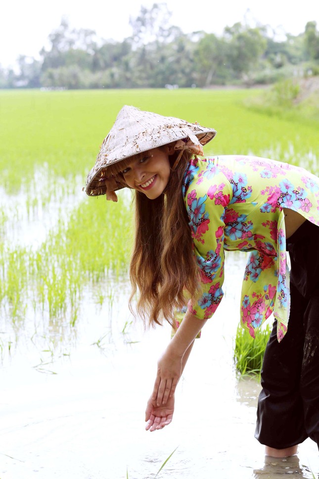 An 'Tây' làm gái quê, đội nón lá đi cấy lúa ảnh 2