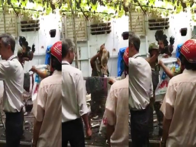 Chủ tịch phường nhận sai vụ 'bẻ khóa' nhà dân, bắt gà Đông Tảo ảnh 1