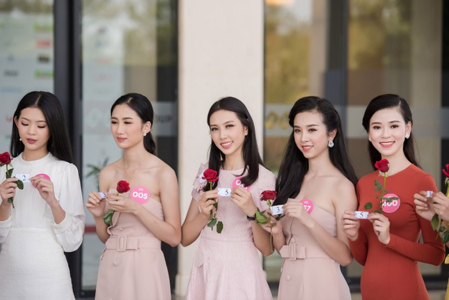 4 nhóm dự án nhân ái của 19 thí sinh lọt chung kết Hoa hậu Việt Nam ảnh 1