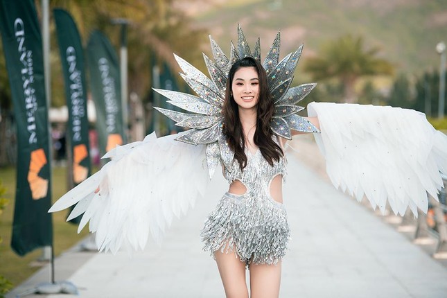 Thí sinh Miss World Vietnam 2022 mặc đồ carnival nóng bỏng, diễu hành trên đường phố Quy Nhơn ảnh 13
