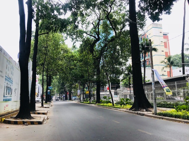 Đường phố Sài Gòn yên ắng sáng mùng một Tết ảnh 6