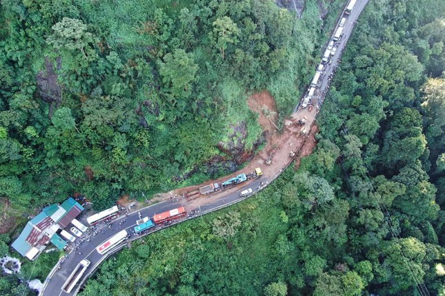 Lâm Đồng xin chuyển đổi hơn 186ha rừng làm cao tốc Tân Phú - Bảo Lộc ảnh 2