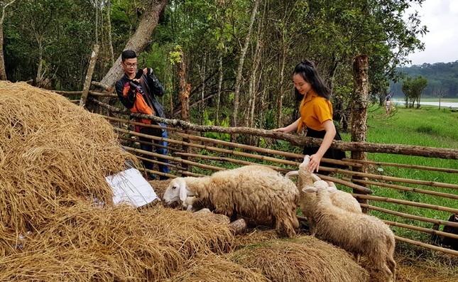 “Phim trường” chui ở di tích thắng cảnh quốc gia hồ Tuyền Lâm ảnh 4