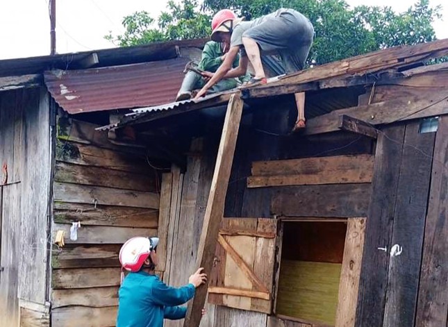 Lốc xoáy thổi bay 38 nóc nhà, làm rụng hàng tấn sầu riêng ảnh 2