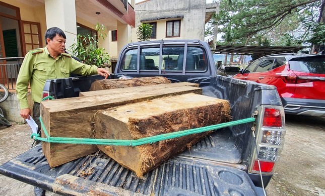 Cuộc rượt đuổi quyết liệt truy bắt xe chở gỗ lậu ở Cổng trời ảnh 1