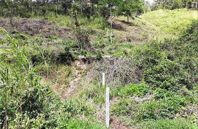 Lâm Đồng: Chấm dứt dự án sân golf theo kết luận của Thanh tra Chính phủ ảnh 3
