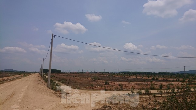 Xử quan xã câu kết trục lợi gần 5 tỷ đồng ảnh 1