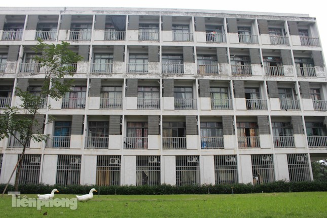 Sinh viên dùng xe bò chở đồ đạc 'nhường' ký túc xá làm khu cách ly ảnh 1