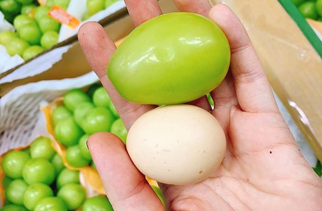 Loại nho to hơn trứng gà: Giá 7 triệu/chùm, có tiền cũng khó mua ảnh 1