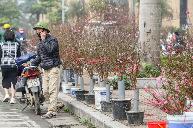 Không khí Tết tràn ngập chợ hoa xuân mở sớm nhất Hà Nội ảnh 11