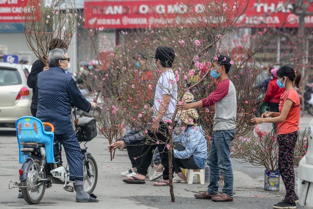 Không khí Tết tràn ngập chợ hoa xuân mở sớm nhất Hà Nội ảnh 3