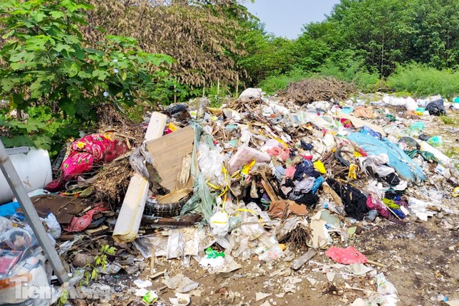 Cỏ mọc um tùm, rác chất đống ngổn ngang quanh đường đua F1 ở Hà Nội