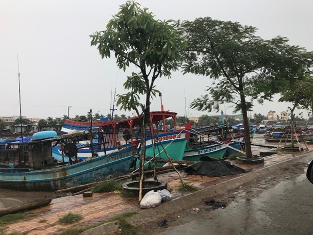 Bão số 16 - Tembin giảm còn cấp 8 - 9, cách Côn Đảo 130km ảnh 22