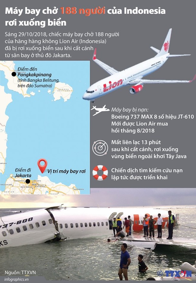 Indonesia xác nhận không ai sống sót trong vụ tai nạn máy bay ảnh 17
