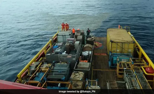 Indonesia xác nhận không ai sống sót trong vụ tai nạn máy bay ảnh 16