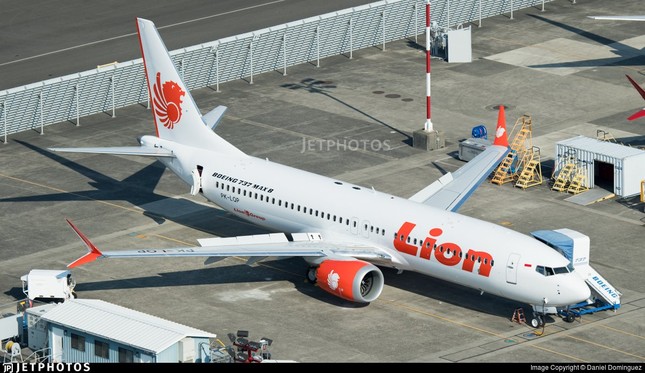 Indonesia xác nhận không ai sống sót trong vụ tai nạn máy bay ảnh 10