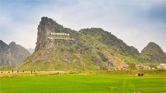 Thế giới rực rỡ pháo hoa thời khắc chuyển sang năm 2019 ảnh 5