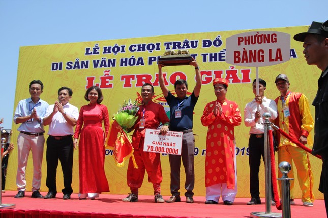 Trâu số 07 vô địch Lễ hội chọi trâu Đồ Sơn năm 2019 ảnh 6