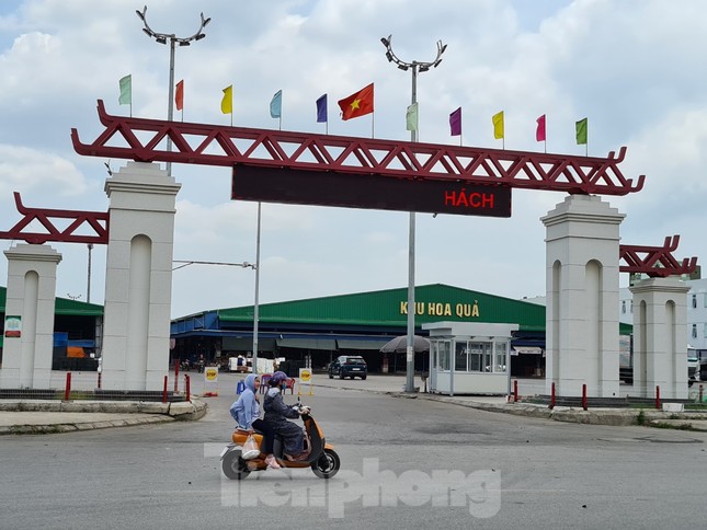 Hải Phòng xem xét kỷ luật nhiều cán bộ quận Hồng Bàng ảnh 1