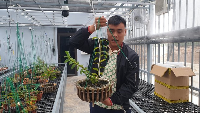 Công an thông tin vụ giao dịch lan đột biến gần 300 tỷ ảnh 4