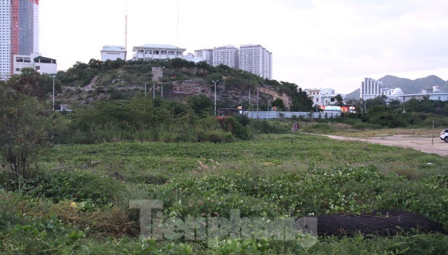 Thu hồi dự án 33 triệu USD lấn biển Nha Trang để xây công viên ảnh 8