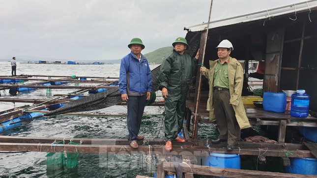 Khánh Hoà chạy đua ứng phó trước giờ 'cuồng phong' số 12 đổ bộ ảnh 4