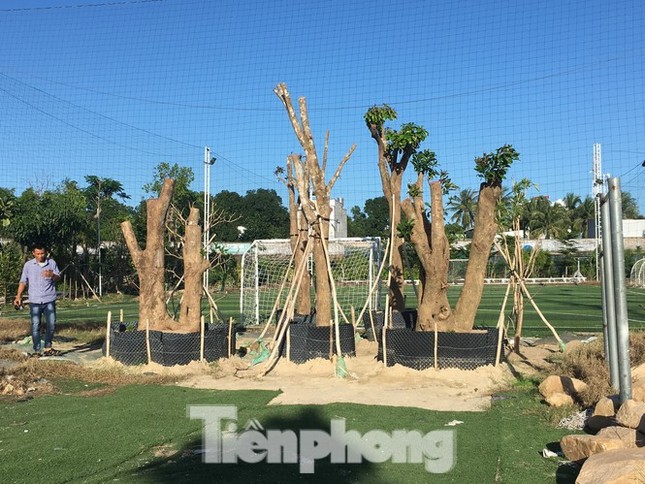 Khánh Hoà kiểm tra việc ưu ái cho thuê 'đất vàng' SVĐ Cam Ranh giá bèo ảnh 1