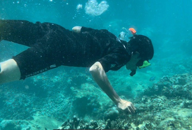 Khánh Hòa tạm dừng du lịch lặn biển để cứu san hô ở Hòn Mun ảnh 1