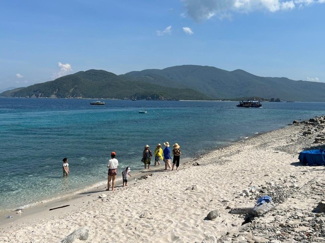 Khánh Hòa tạm dừng du lịch lặn biển để cứu san hô ở Hòn Mun ảnh 5