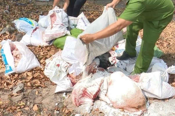 Phát hiện hơn 1,5 tấn thịt heo bốc mùi trong chợ ở Bình Dương ảnh 2