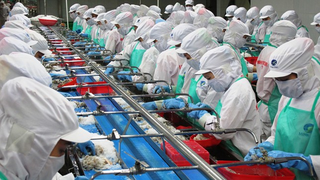 Năm hội nhập 2015: Ai hỗ trợ, thức tỉnh doanh nghiệp? ảnh 1