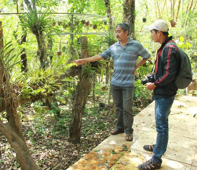 Khu bảo tồn lan rừng độc nhất Tây Nguyên ảnh 1