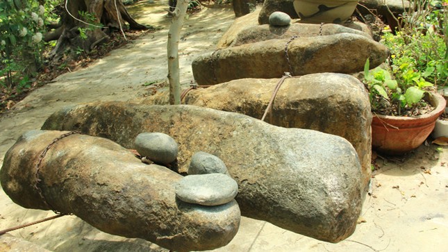 Khu bảo tồn lan rừng độc nhất Tây Nguyên ảnh 2