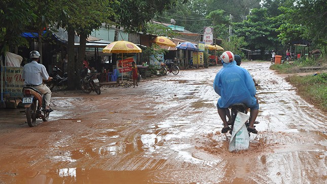Trăn trở từ đảo Ngọc ảnh 1