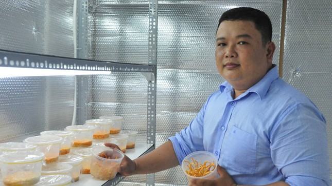 Kỹ sư điện làm giàu với nấm sạch ảnh 1