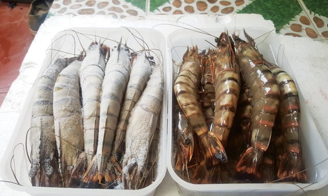 Từ nông dân tới Doanh nhân Ðoàn Văn Vươn ảnh 3