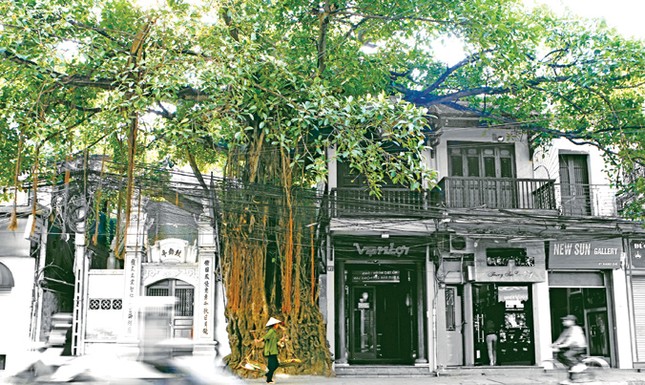 Người giàu có sang không? ảnh 2