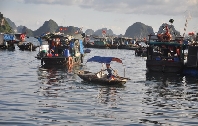 Hạ Long tương phản ảnh 1
