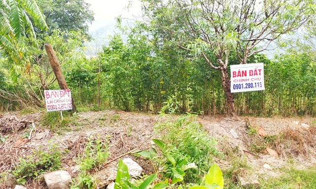 Vân Đồn 'quay cuồng' trong cơn sốt đất ảnh 3