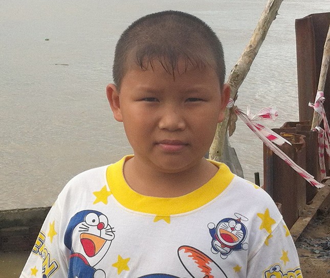 Mất dần cánh đồng Đông Nam Á ảnh 2