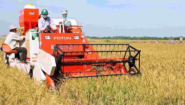 'Mơ nghìn hécta' làm cho đã ảnh 2