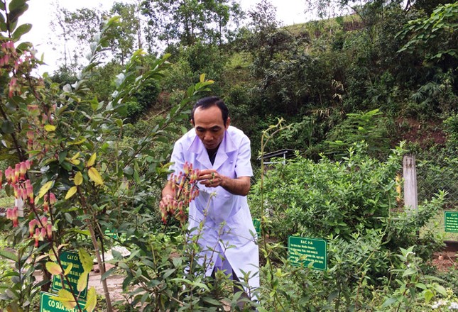 Chuyện bác sĩ Thiện ở A Vao ảnh 1