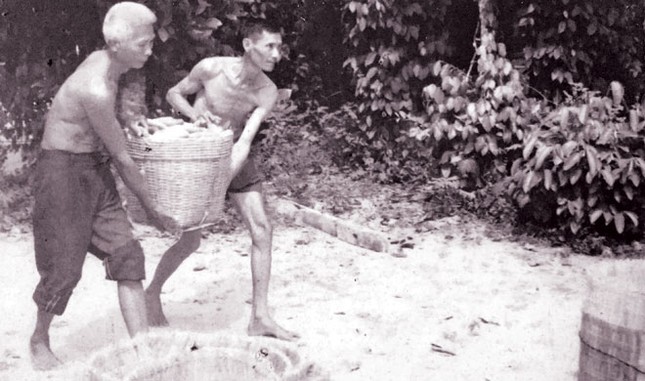 Những trận đánh 'không tên' của nữ Biệt động Sài Gòn ảnh 2